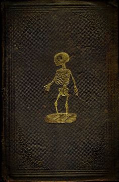 an old book with a skeleton on it