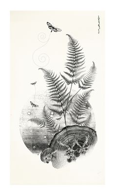 an ink drawing of ferns and butterflies in the air, with water running through them