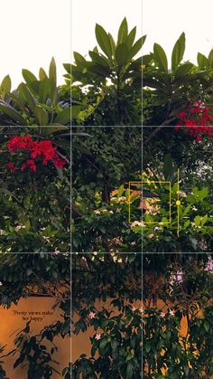 multiple images of trees and flowers in different frames