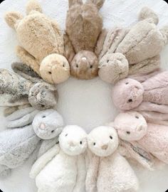 a group of stuffed animals arranged in a circle