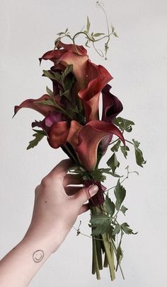 a hand holding a bunch of flowers with green leaves on the stems and red petals