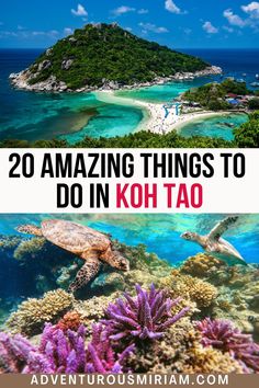 an island with corals and the words 20 amazing things to do in koh tao