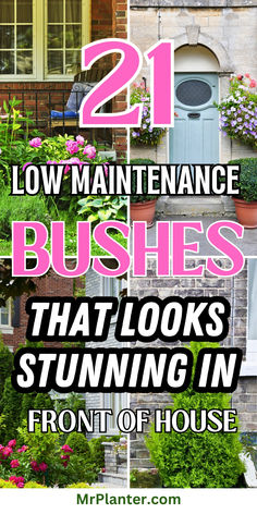 21 low maintenance bushes that looks stunning in front of house Bushes In Front Of House, Front Yard Design Ideas, Garden Home Ideas, Yard Design Ideas, Yard Landscape Ideas, Garden Front Yard, Garden Front Of House, Front Yard Landscape