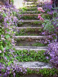 steps are covered with purple flowers and greenery