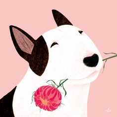 a drawing of a dog with a flower in its mouth, on a pink background