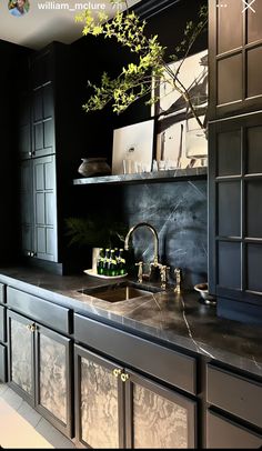 a kitchen with black cabinets and marble counter tops is pictured in this image, there are plants on the shelves above the sink