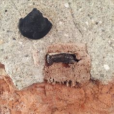 a black object on the ground next to a cement block and a rock with a hole in it