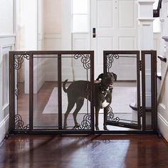 a dog is standing in the gated entrance to an open room with wood floors