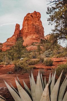 a large rock formation in the distance with trees around it