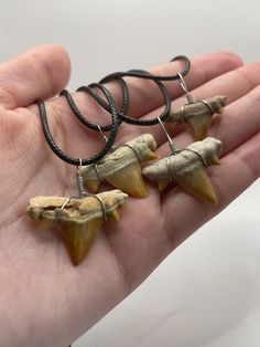 these are REAL otodus shark teeth, found in Morocco and are more than 50 million years old!  each necklace comes with a black leather cord with an adjustable length of 17.5-19.5 inches measurements: tooth #1: 1 inch by 3/4 inch tooth #2: 1 inch by 3/4 inch tooth #3: 1 inch by 1 inch tooth #4: 7/8 inch by 1/2 inch price is for each necklace, you will only receive one necklace no returns or exchanges message me if you have any questions :) Handmade Jewelry Necklaces, Shark Tooth Necklace, Moreno Valley, Tooth Necklace, Handmade Jewelry Necklace, Shark Tooth, 50 Million, Shark Teeth, Diy Accessories