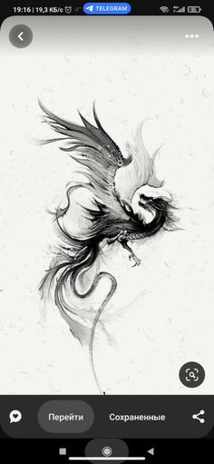 a black and white drawing of a bird with long wings flying through the air,