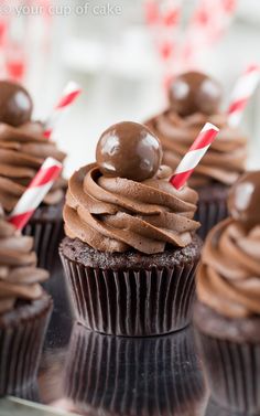 cupcakes with chocolate frosting and candy canes