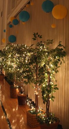 several potted trees with lights on them