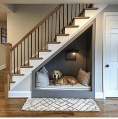 a dog is sitting in his bed under the stairs