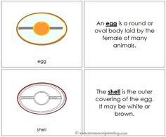 an egg is round or oval body laid by the female of many animals