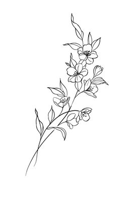 Floral Tattoo Design Drawings Simple, Gladiolus Flower Line Drawing, Lined Flower Tattoos, Vines With Flowers Tattoo, Lakespur Flower Tattoo, Line Of Flowers Tattoo, Line Art Tattoos Flower, Flower Tattoo Designs Sketches, Floral Leg Tattoos For Women