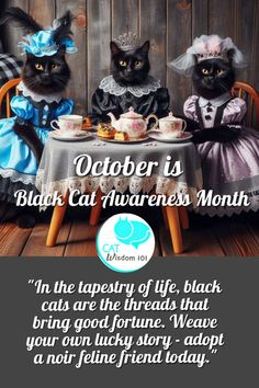 two cats sitting at a table with teacups on it and the caption reads, october is black cat awareness month