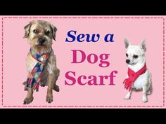 two dogs are sitting next to each other with the words how to sew a dog scarf