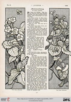 an old book page with flowers in it