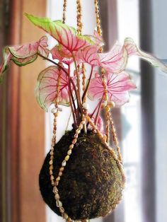 a potted plant with beads hanging from it