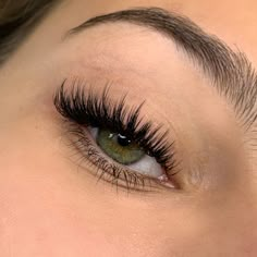 Natural Fake Eyelashes, Lashes Fake Eyelashes, Wispy Eyelashes, Professional Eyelash Extensions, Cat Eye Lash, Lash Extensions Styles, Eyelash Extensions Styles, Perfect Eyelashes, Natural Eyelash Extensions