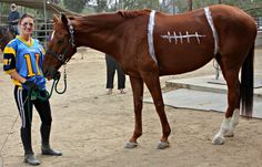 a woman standing next to a brown horse