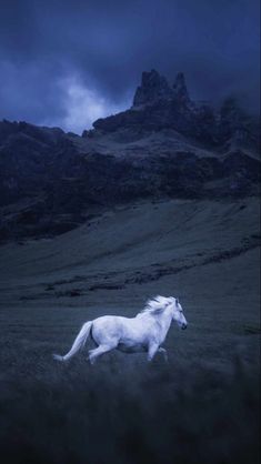 a white horse is running in the grass at night with mountains in the background and dark clouds