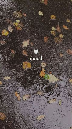 the word mood is written in white on top of black pavement with leaves scattered around it