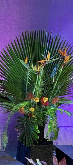 there is a potted plant with flowers in it on the table next to a purple wall