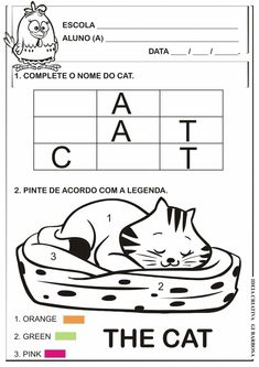 the cat worksheet for children with pictures