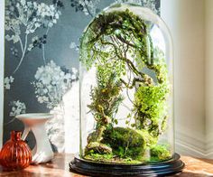 a glass dome with moss growing inside on a table in front of a floral wallpaper