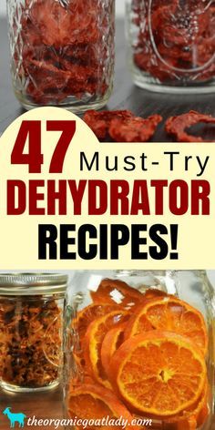 four mason jars filled with dried food and the words 47 must try dehydraator recipes