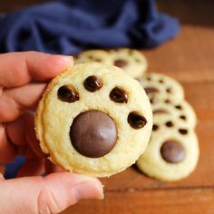 Vanilla paw print cookies are as tasty as they are cuteThey are built on a chewy sugar cookie with tasty chocolate paws on top. Dog Print Cookies, Puppy Paw Cookies, Dog Paw Cookies Decorated, Paw Print Cookies, Paw Cookies, Buttery Sugar Cookies, Chocolate Melting Wafers, Cookie Christmas, Chewy Sugar Cookies