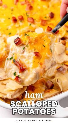 ham scalloped potatoes in a white casserole dish with text overlay