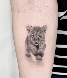 a small lion cub tattoo on the arm