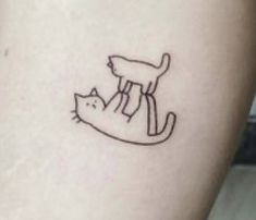 a cat and a kitten sitting on top of each other, tattooing one another