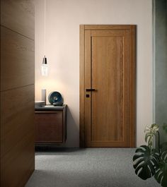 a wooden door in a room next to a plant