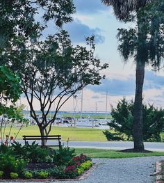 a park bench sitting in the middle of a lush green field next to palm trees