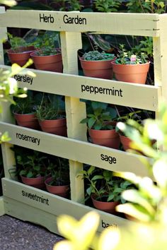 a wooden pallet filled with potted plants