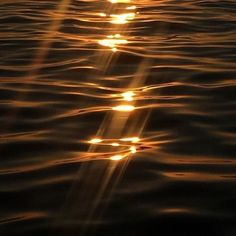 the sun shines brightly in the water as it reflects on the surface at sunset