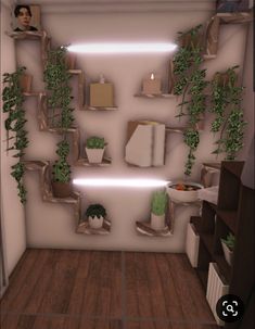 a room with shelves and plants on the wall