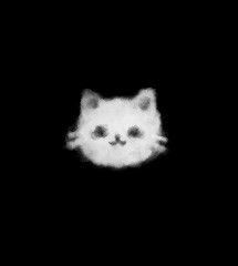 a black and white photo of a cat in the dark with its eyes wide open