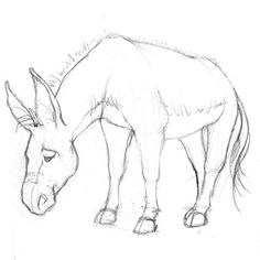 a pencil drawing of a donkey standing on the ground with it's head down