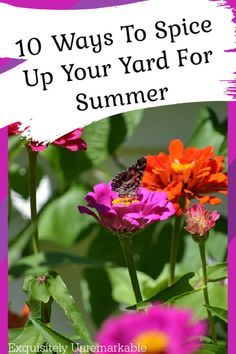 an image of flowers with the words 10 ways to spice up your yard for summer