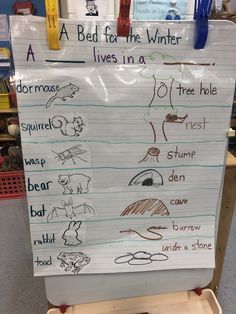 a white board with writing on it in a classroom setting that includes animals and words