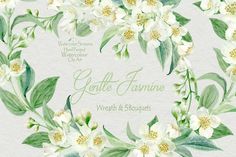 a watercolor painting of white flowers and green leaves with the words gentle feminine written below