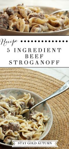 three different types of pasta with the words, 5 ingredient beef stroganoni