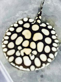 a cake with white and black designs on it