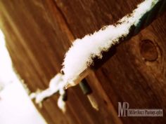 snow is hanging on the side of a wooden fence