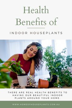 the health benefits of indoor houseplants